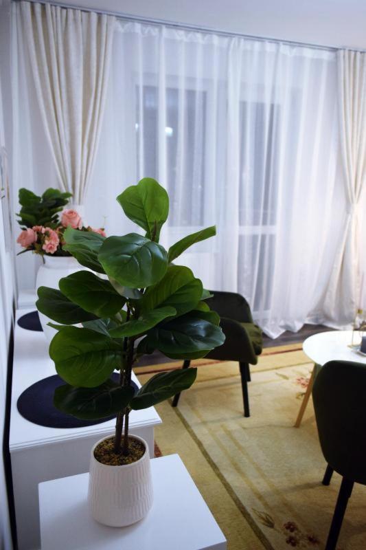 דירות Făgăraş Apartament Thea מראה חיצוני תמונה